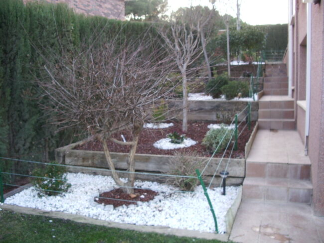 jardin en zaragoza en invierno