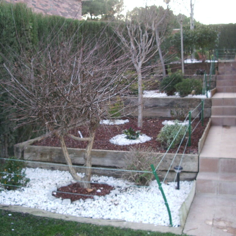 jardin en zaragoza en invierno jardin en zaragoza en invierno