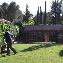 Abonos-para-el-cesped Abonos-para-el-cesped