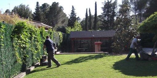 Abonos-para-el-cesped