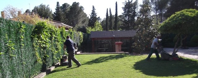 Abonos-para-el-cesped