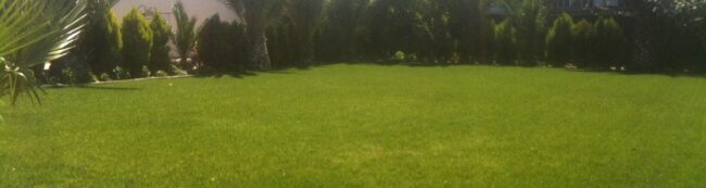 El escarificado del césped