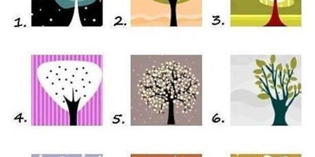 1380525_454614311321843_1917251254_n