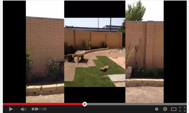 Proceso de construcción de un jardín