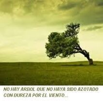 ARBOL VIENTO