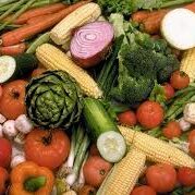 EL HUERTO DE FEBRERO