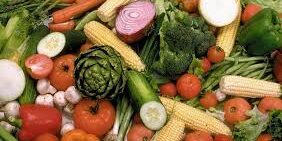 EL HUERTO DE FEBRERO