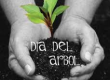 DIA MUNDIAL DEL ARBOL