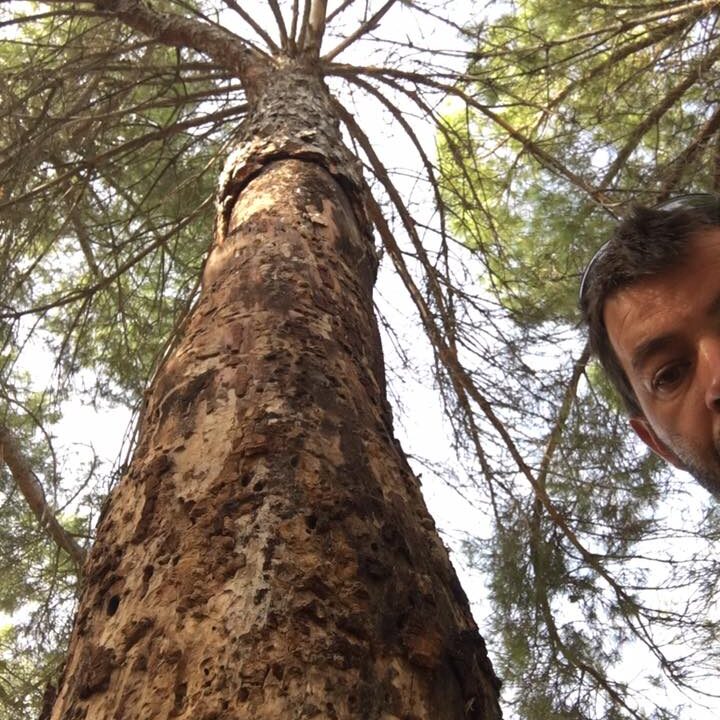 20993082_1671378789570765_615893478480467928_n