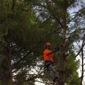 21078725_1675061272535850_2087082766574972948_n-168×300