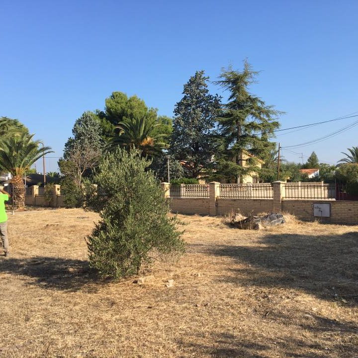 Desbroce y limpieza de finca en Zaragoza