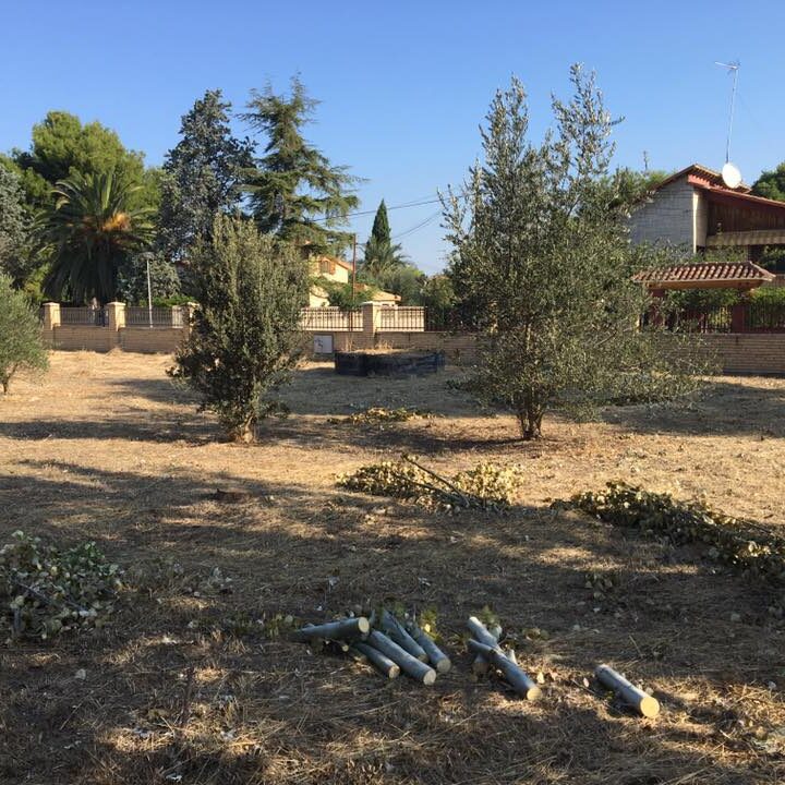 Desbroce y limpieza de finca en Zaragoza