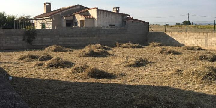 Desbroce y limpieza de parcela en Zaragoza provincia