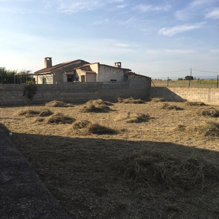 Desbroce y limpieza de parcela en Zaragoza provincia Desbroce y limpieza de parcela en Zaragoza provincia