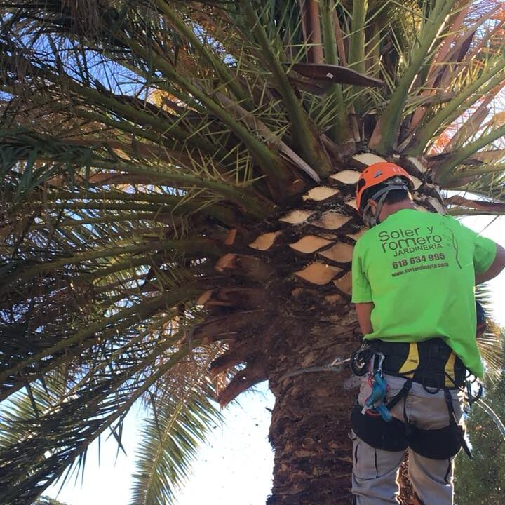 22886241_1748518985190078_803855015642233888_n