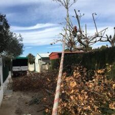 25594233_1815502918491684_2727280036494420097_n-225×300