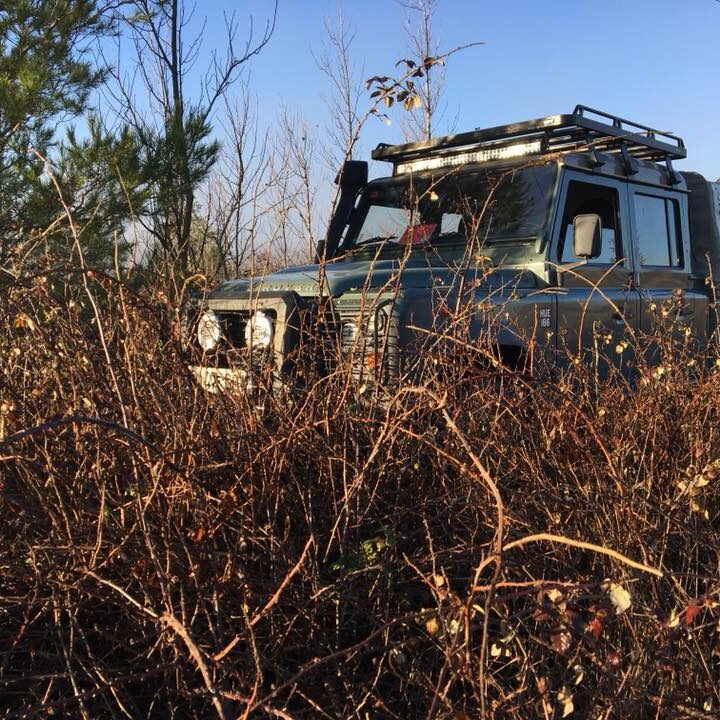 ELIMINACION Y LIMPIEZA ARBOLADO EN ZARAGOZA