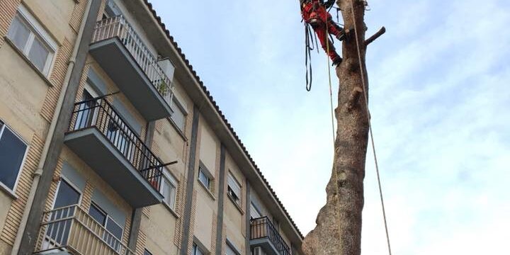 27545112_1869299536445355_7362041125614194042_n