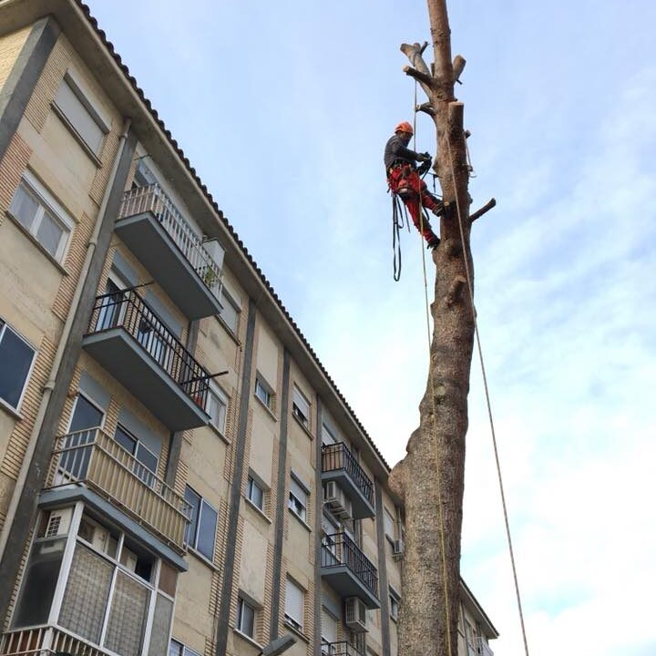 27545112_1869299536445355_7362041125614194042_n