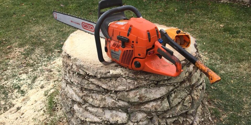 28167822_1896227437085898_1180809699636869468_n