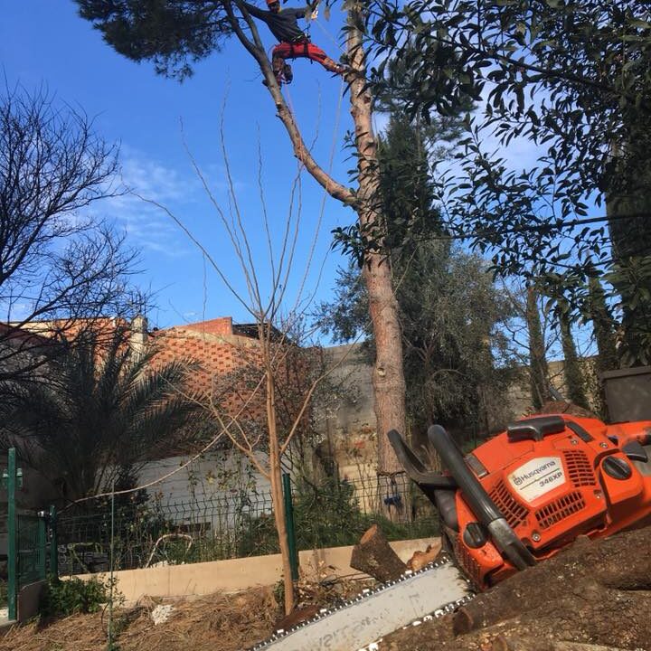 28378315_1901455463229762_5349900243066676926_n