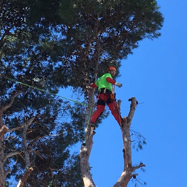 28796127_1912575095451132_3913638031070288711_n