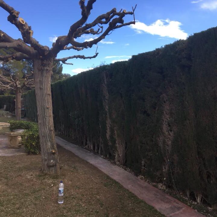 29313299_1926399577402017_3735161134085308416_n