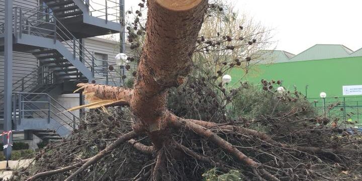 30124902_1954964111212230_8223773743659352064_n