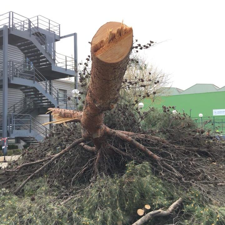 30124902_1954964111212230_8223773743659352064_n