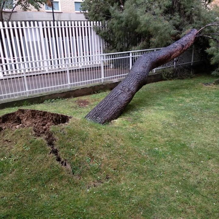 30688642_1964604320248209_4008848587764006912_n