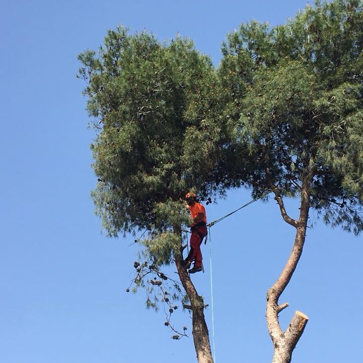 30762672_1972483916126916_8582411351190667264_n