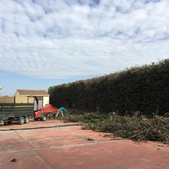 31959682_1994729243902383_1770606486888644608_n