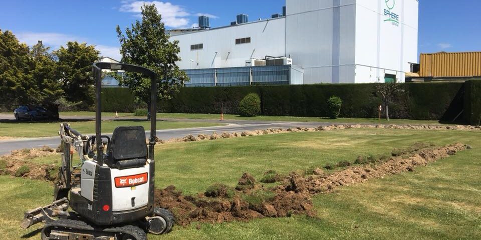 33117470_2016002618441712_5212248082791530496_n