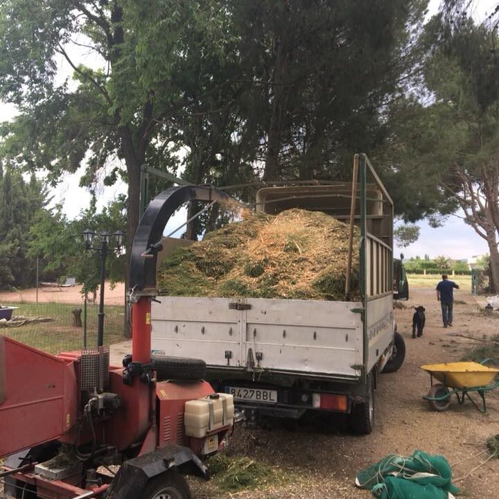 33462580_2018533954855245_4720007949785759744_n