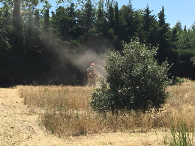 DESBROCE DE GRAN PARCELA