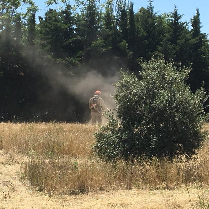 35297253_2051646654877308_4235181084951707648_n DESBROCE DE GRAN PARCELA