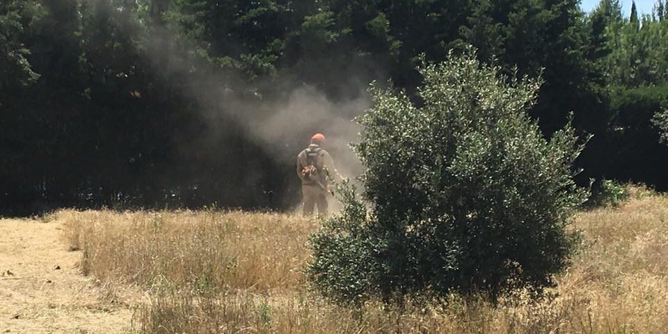 35297253_2051646654877308_4235181084951707648_n DESBROCE DE GRAN PARCELA