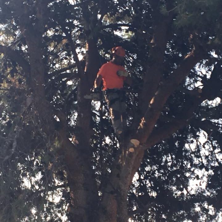 37027453_2103541553021151_7147481460704804864_n