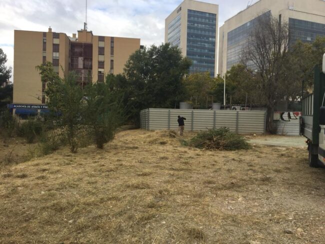 DESBROCE Y LIMPIEZA DE PARCELA EN CENTRO DE ZARAGOZA