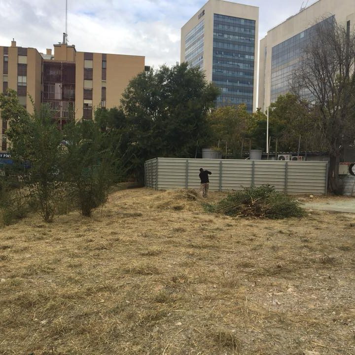 DESBROCE Y LIMPIEZA DE PARCELA EN CENTRO DE ZARAGOZA DESBROCE Y LIMPIEZA DE PARCELA EN CENTRO DE ZARAGOZA