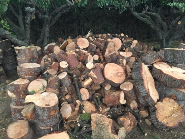 TRABAJOS DE JARDINES Y COMUNIDADES