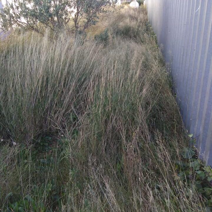 DESBROCE Y LIMPIEZA DE FABRICA EN VILLANUEVA DE GALLEGO