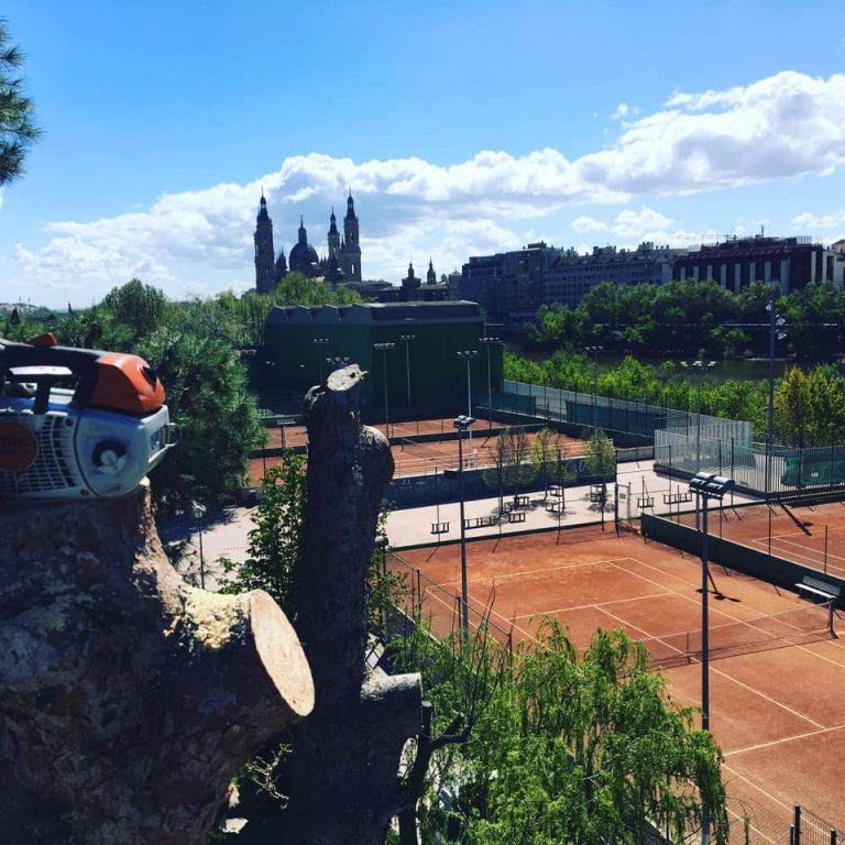 TRABAJOS DE TALA EN CENTRO DEPORTIVO DE ZARAGOZA