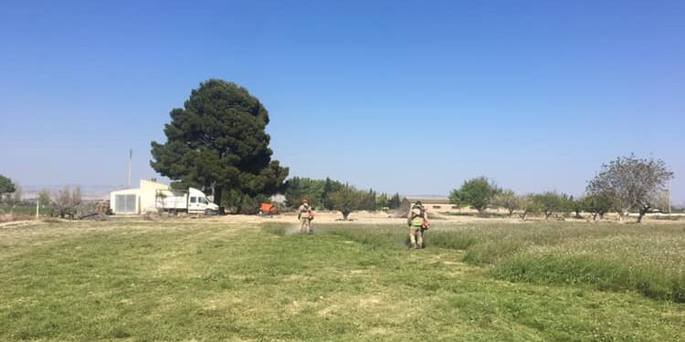 DESBROCE DE FINCA EN EL BURGO DE EBRO