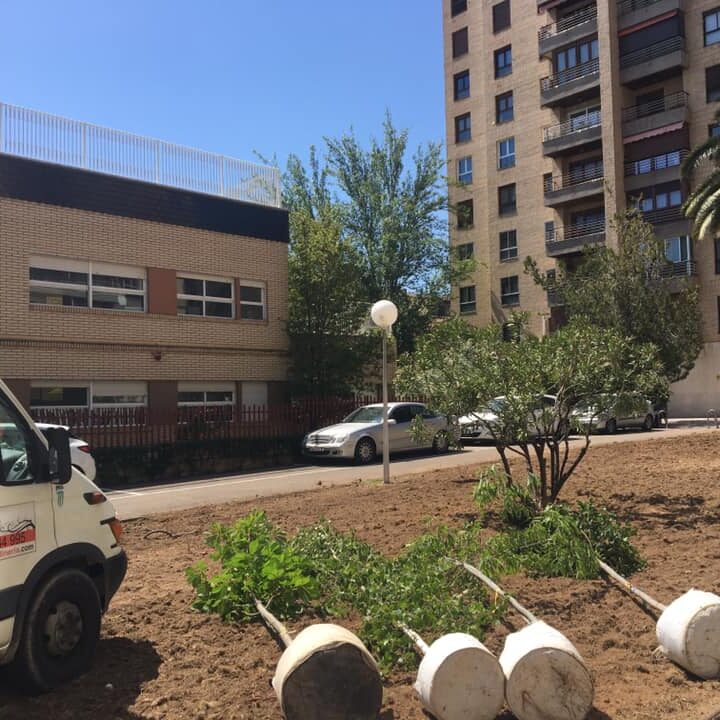 REMODELACION DE JARDÍN EN C.P. ZONA ROMAREDA
