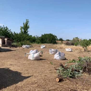 Desbrozado en finca de Pinseque