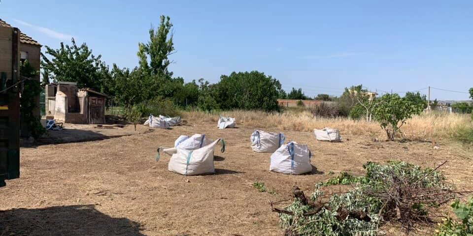 Desbrozado en finca de Pinseque Desbrozado en finca de Pinseque