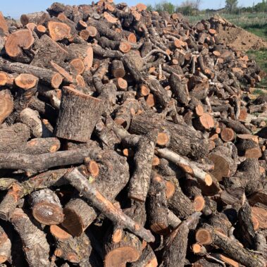 venta de leña en zaragoza