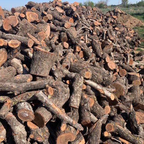 venta de leña en zaragoza