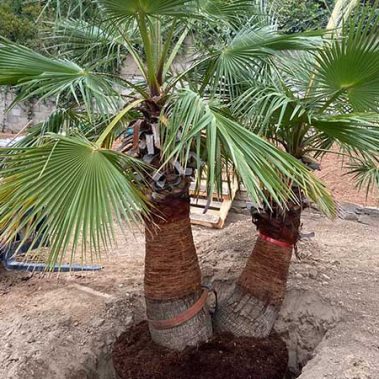 Construcción jardines Zaragoza